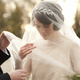Illustration for article titled Rent Lady Marys Wedding Tiara! (Brooding Cousin-Husband Not Included)